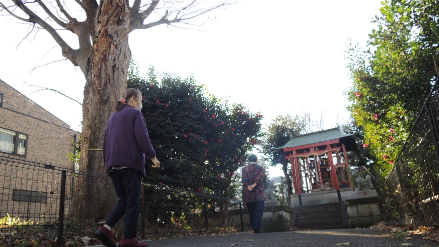 神社へお参りの様子